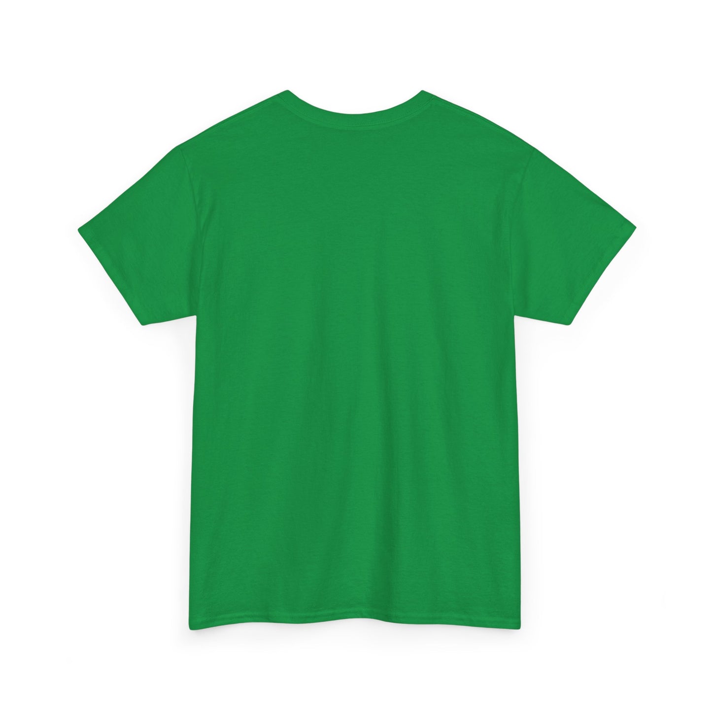 It's Not Rocket Science Adult T-Shirt