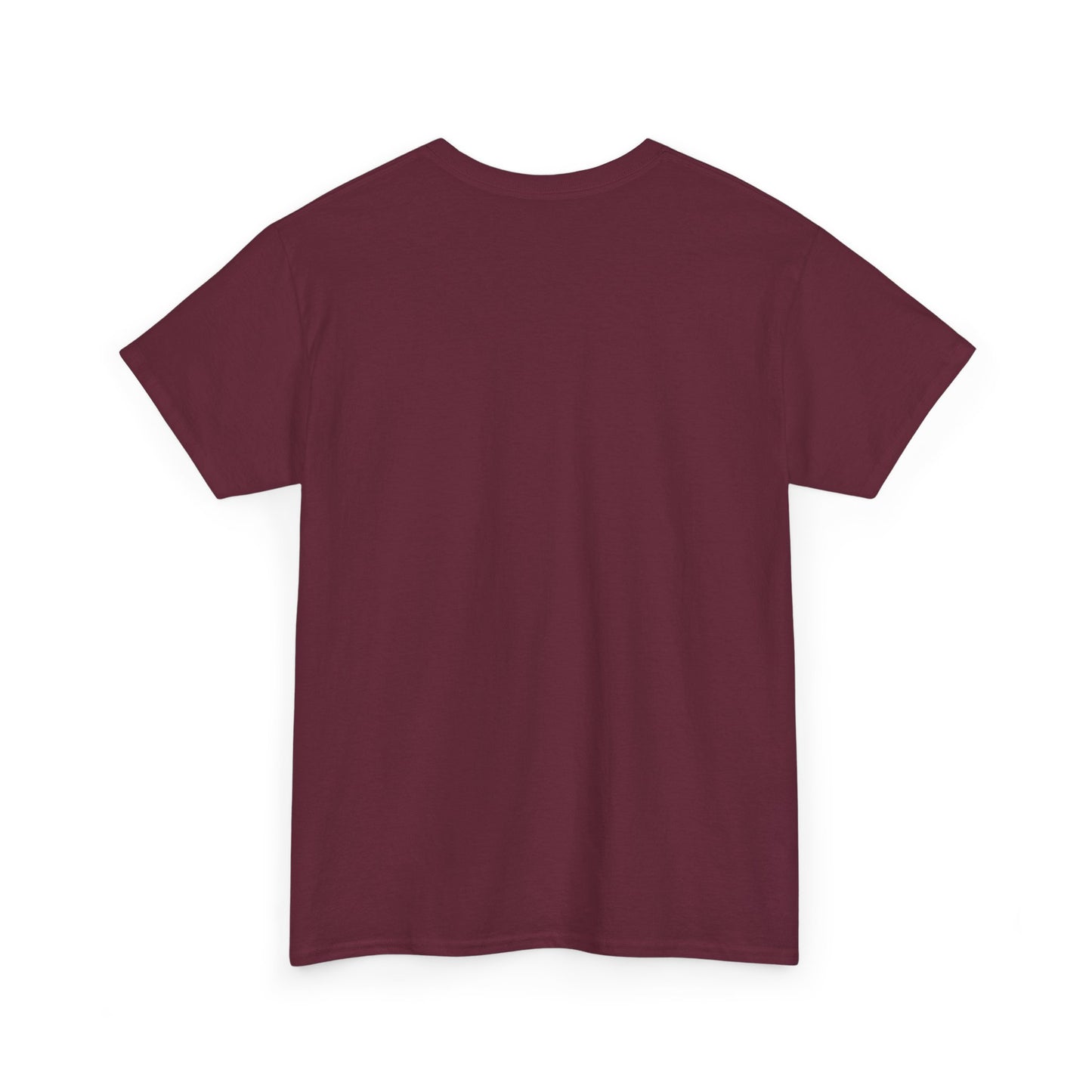 It's Not Rocket Science Adult T-Shirt